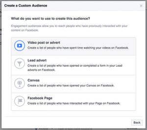 Video_custom_audience